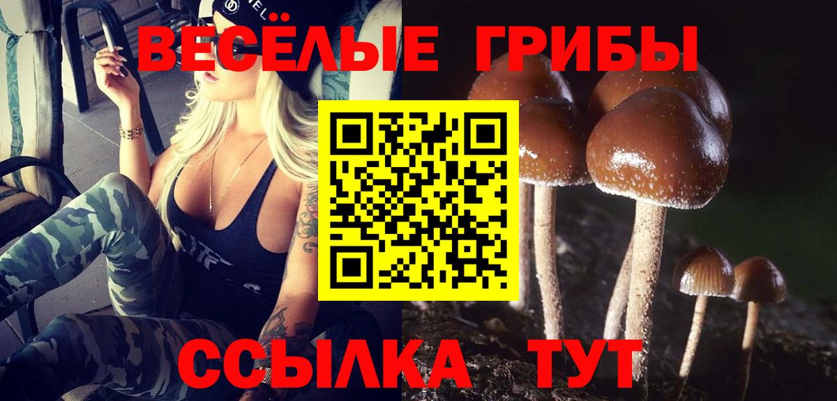 Галлюциногенные грибы GOLDEN TEACHER  Псилоцибиновые грибы Magic Shrooms  цены наркотик  Вход с VPN  Мыски 