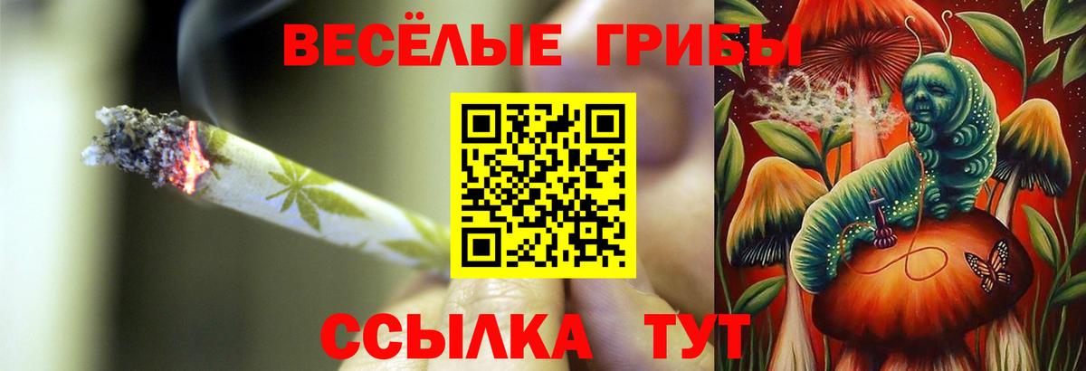 Галлюциногенные грибы ЛСД Мыски